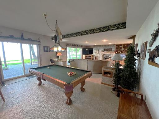 11333 N Shore Drive, Spicer, MN 56288