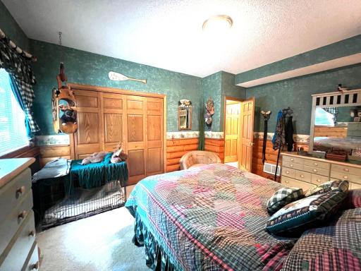 11333 N Shore Drive, Spicer, MN 56288