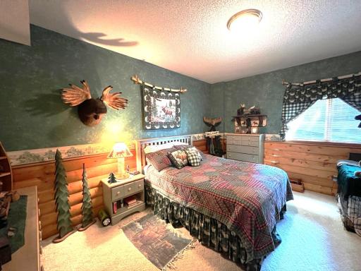11333 N Shore Drive, Spicer, MN 56288
