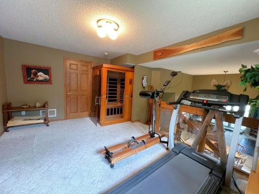 11333 N Shore Drive, Spicer, MN 56288