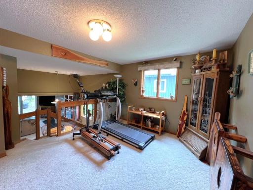 11333 N Shore Drive, Spicer, MN 56288