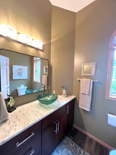 11333 N Shore Drive, Spicer, MN 56288
