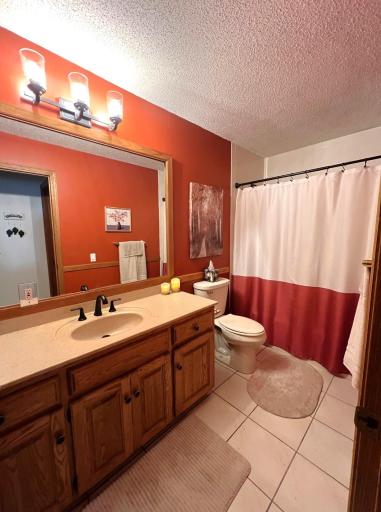 Basement Bathroom/Updated Fixtures & Lighting