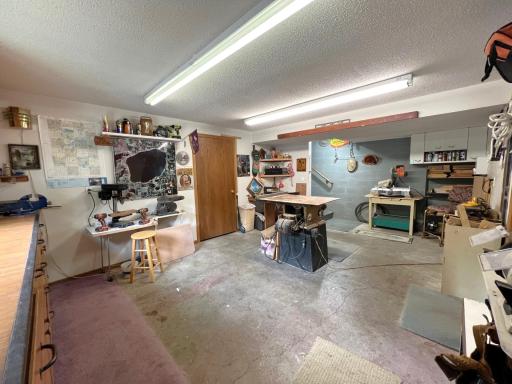 11333 N Shore Drive, Spicer, MN 56288
