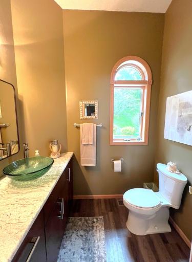 11333 N Shore Drive, Spicer, MN 56288