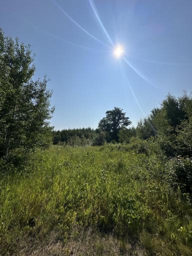 TBD County Rd 2 NW, Baudette, MN 56686