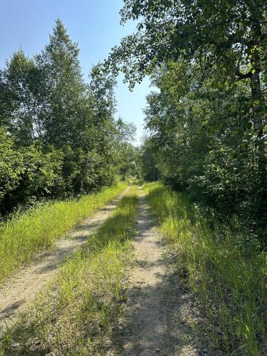 TBD County Rd 2 NW, Baudette, MN 56686
