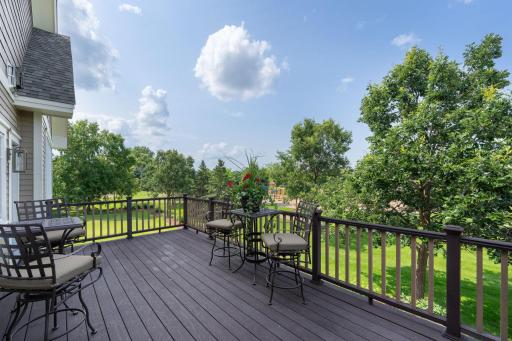 10998 Sweetwater Path, Woodbury, MN 55129