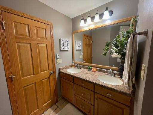Double sinks and 6 panel doors through out the home.