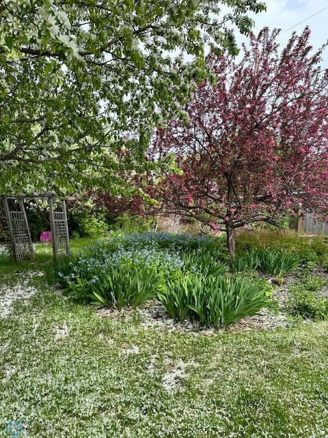Garden in Bloom