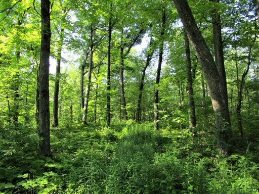 XX 220th Avenue, Milltown, WI 54858