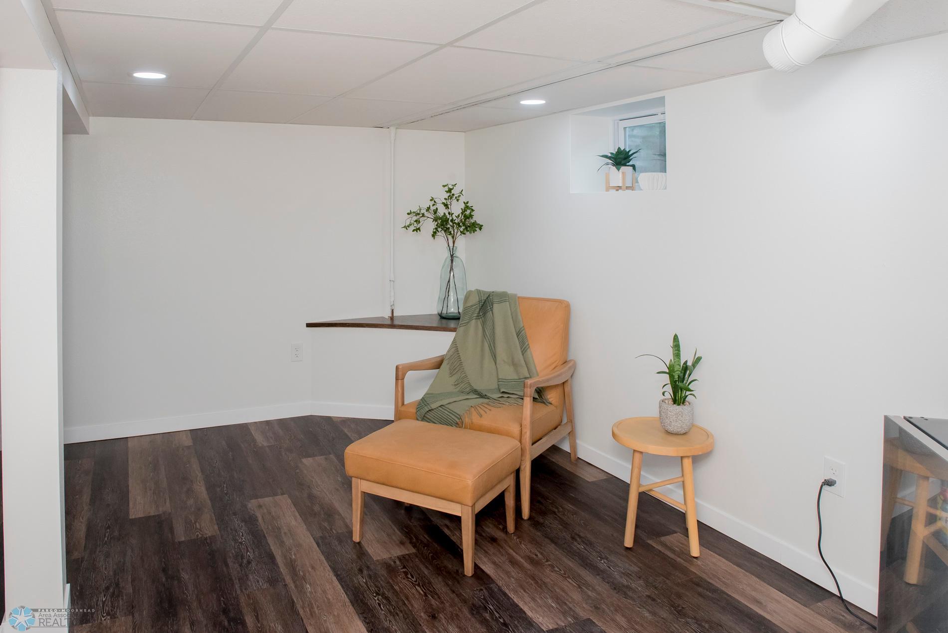 Basement living room