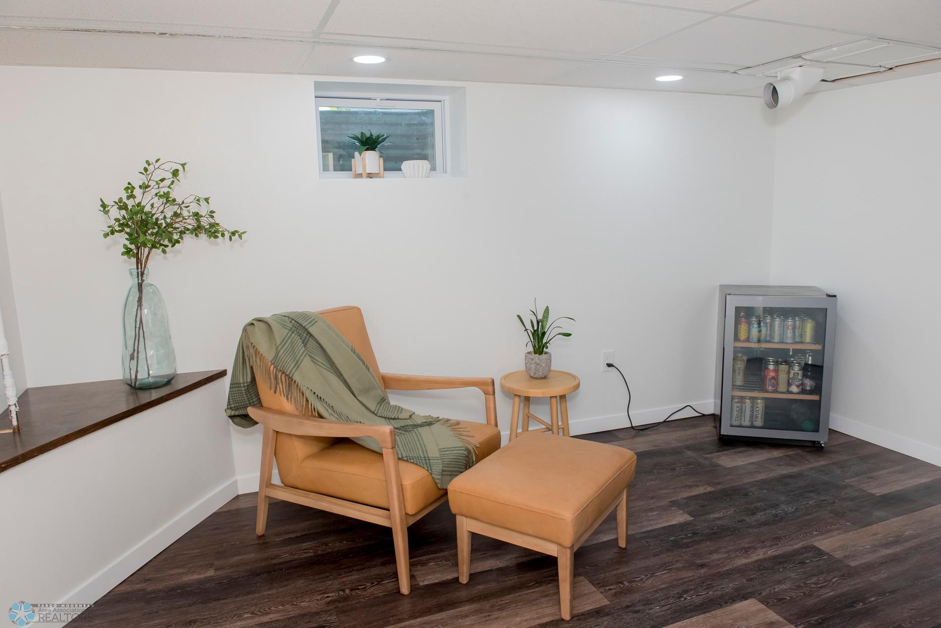Basement living room