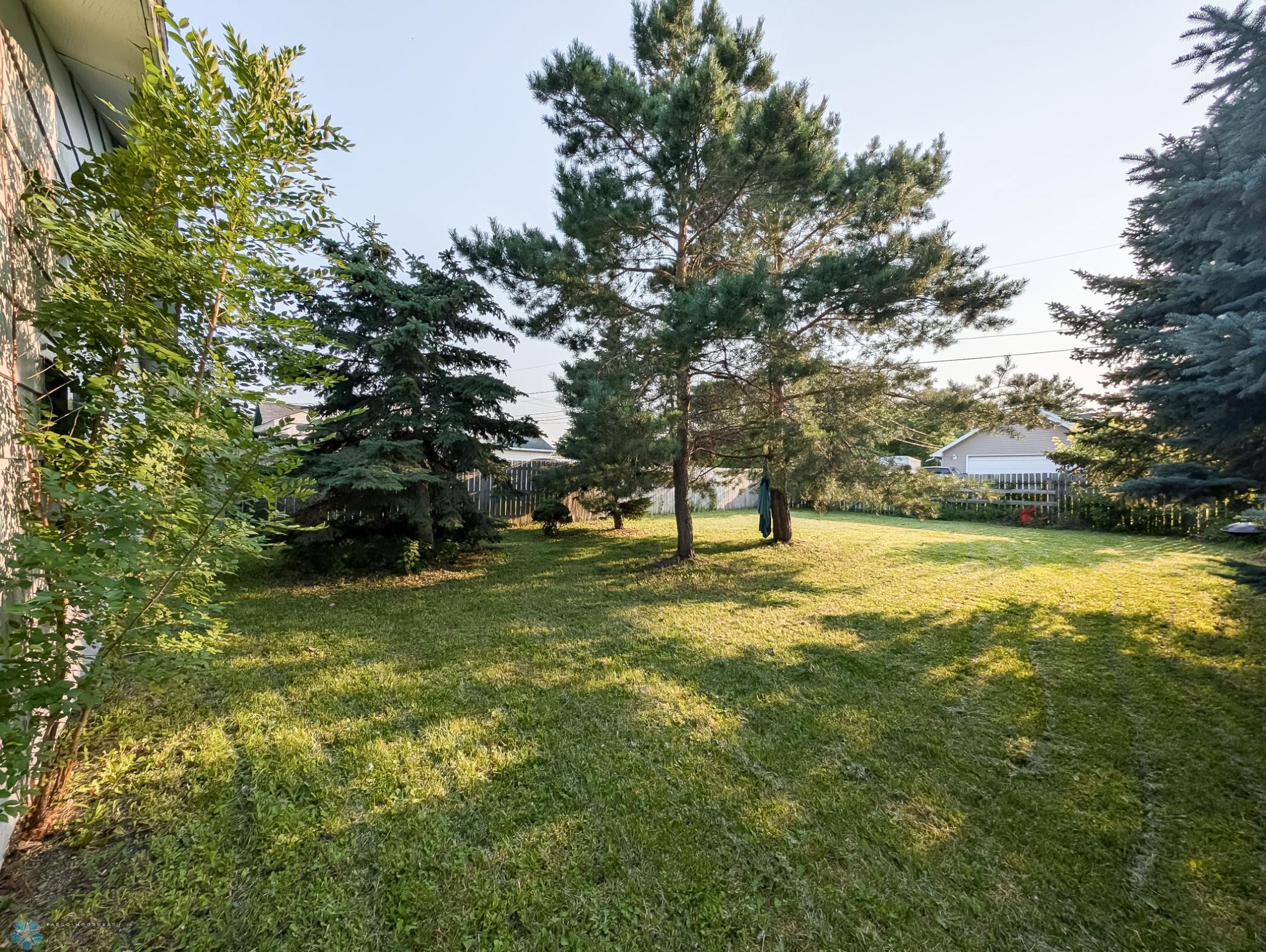 L2P021-001917137.jpg