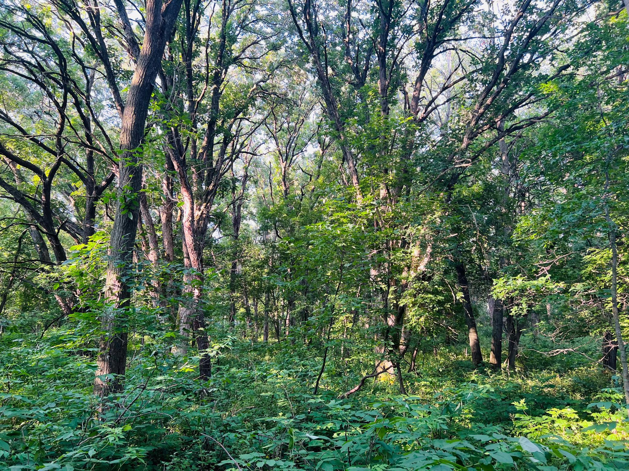 IMG_5569.jpeg