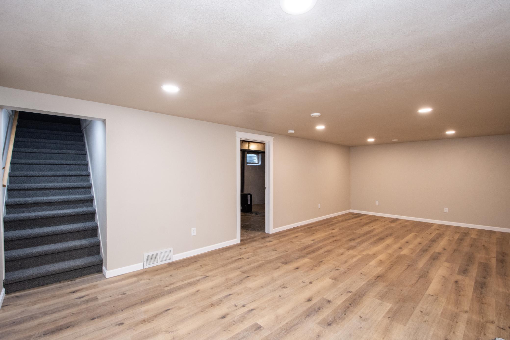 Lower level family room
