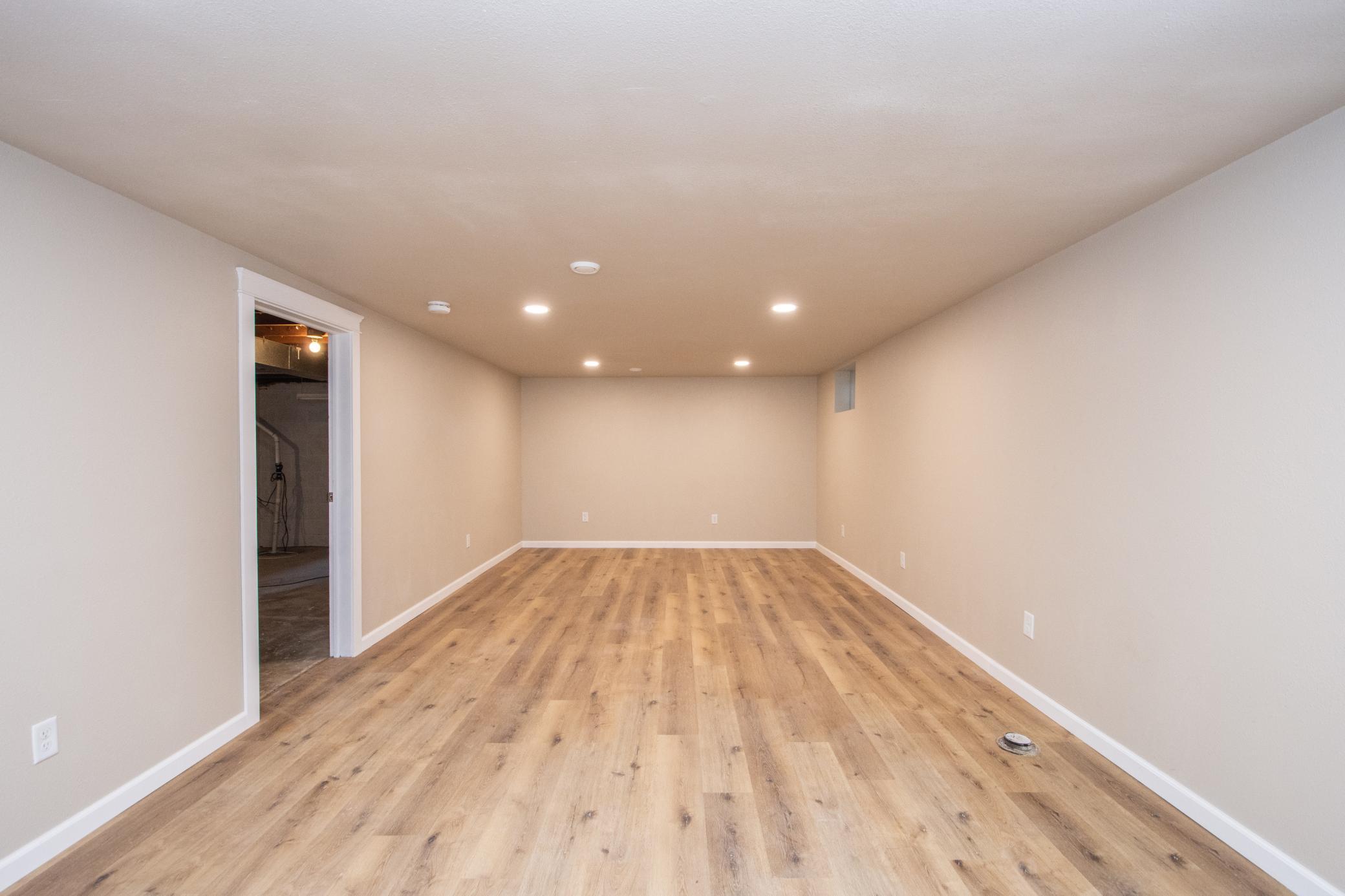Lower level family room