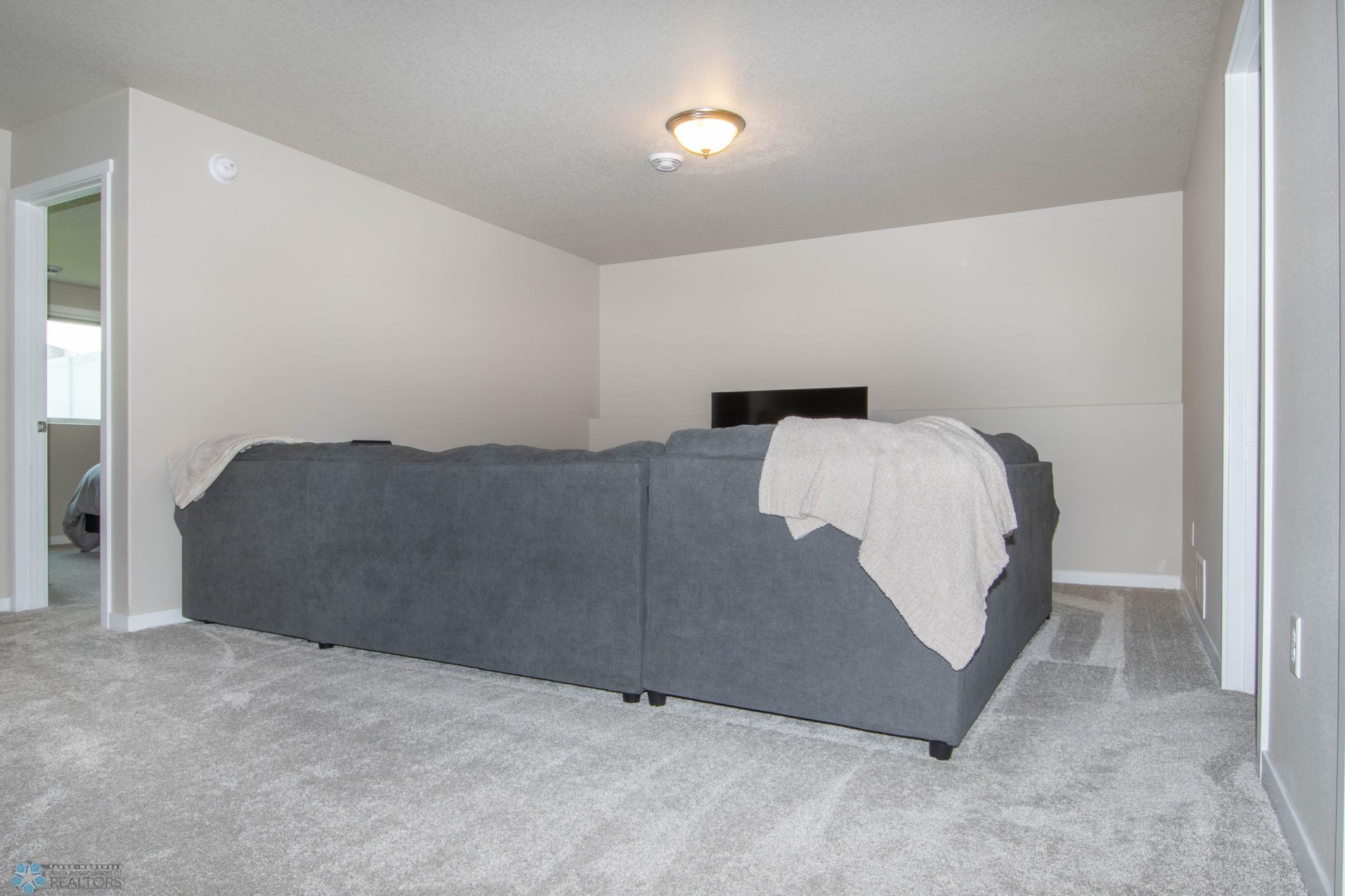 Lower Level Family Room