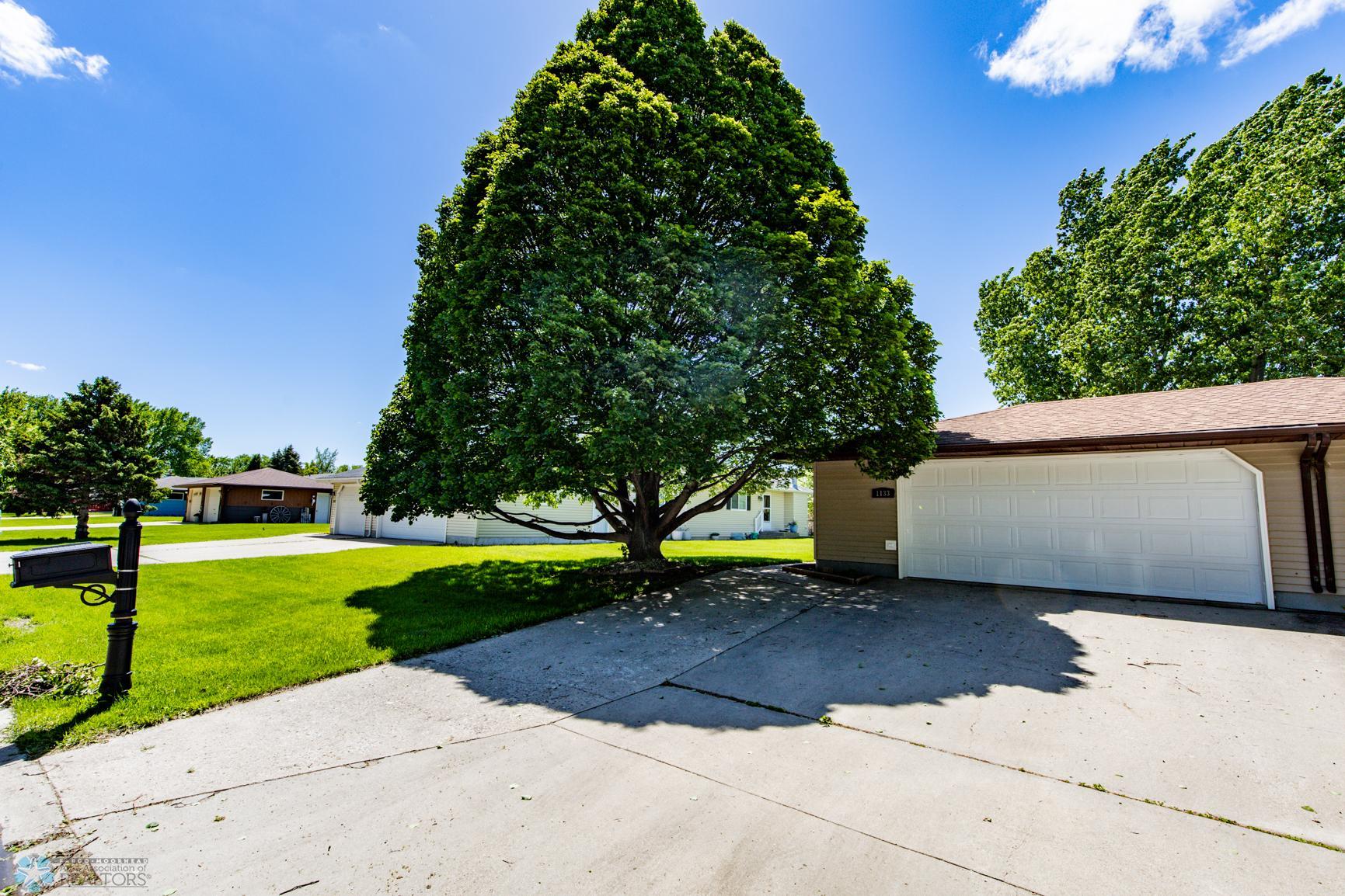 Front Yard