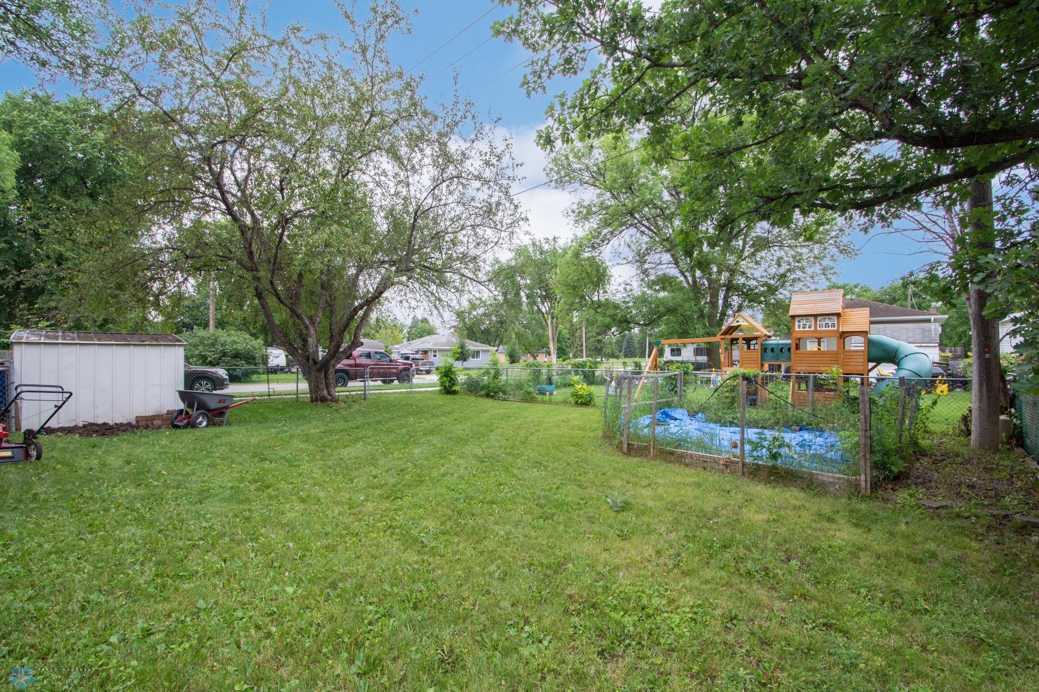 Back yard