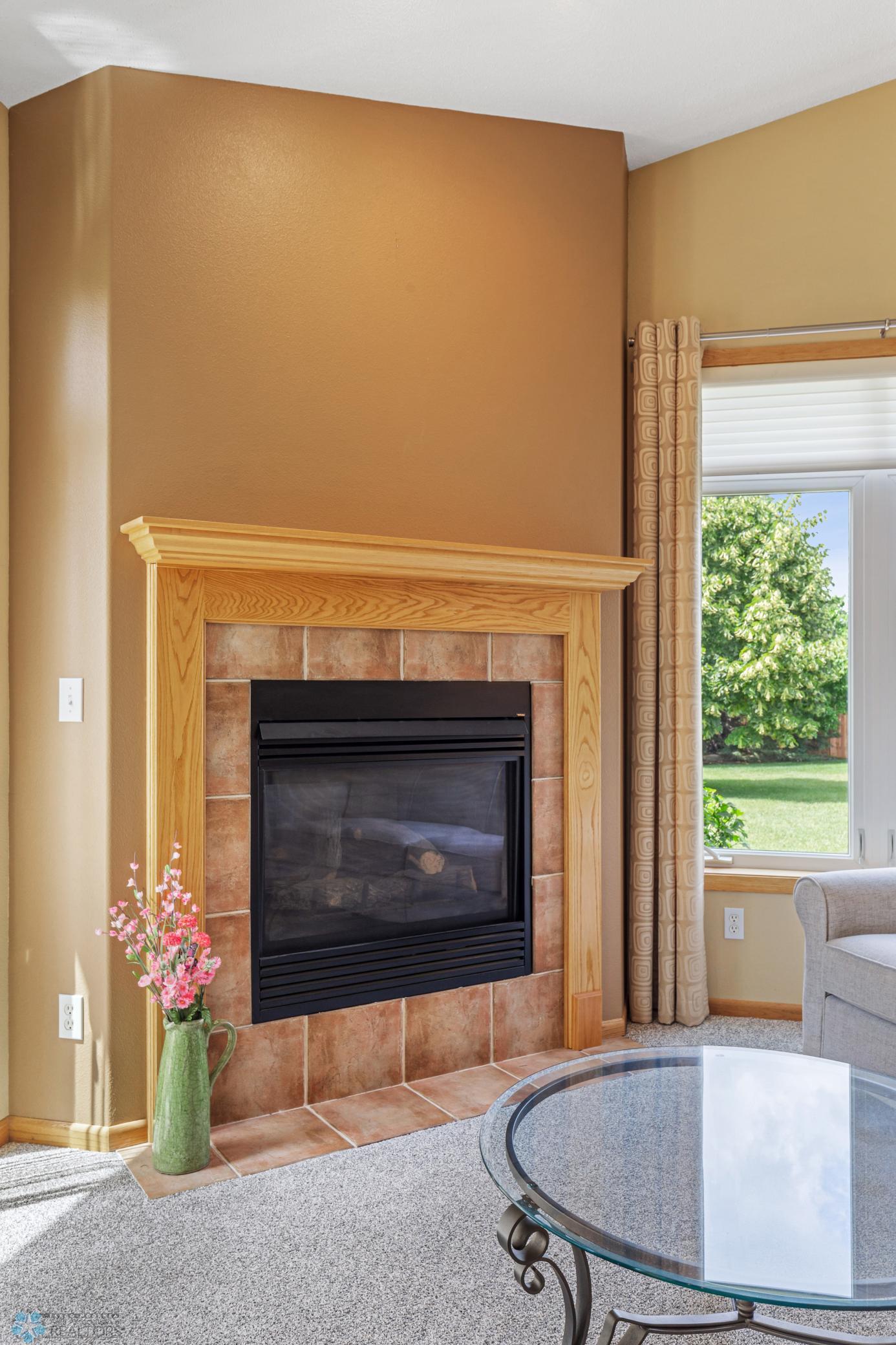 Gas Fireplace