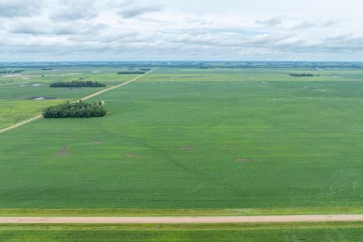 XXX 230th Street, Winnebago, MN 56098