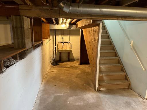 Basement Steps