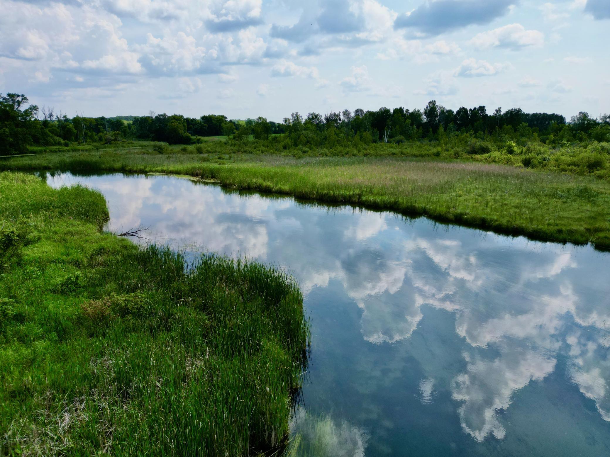 The River - 9.jpeg