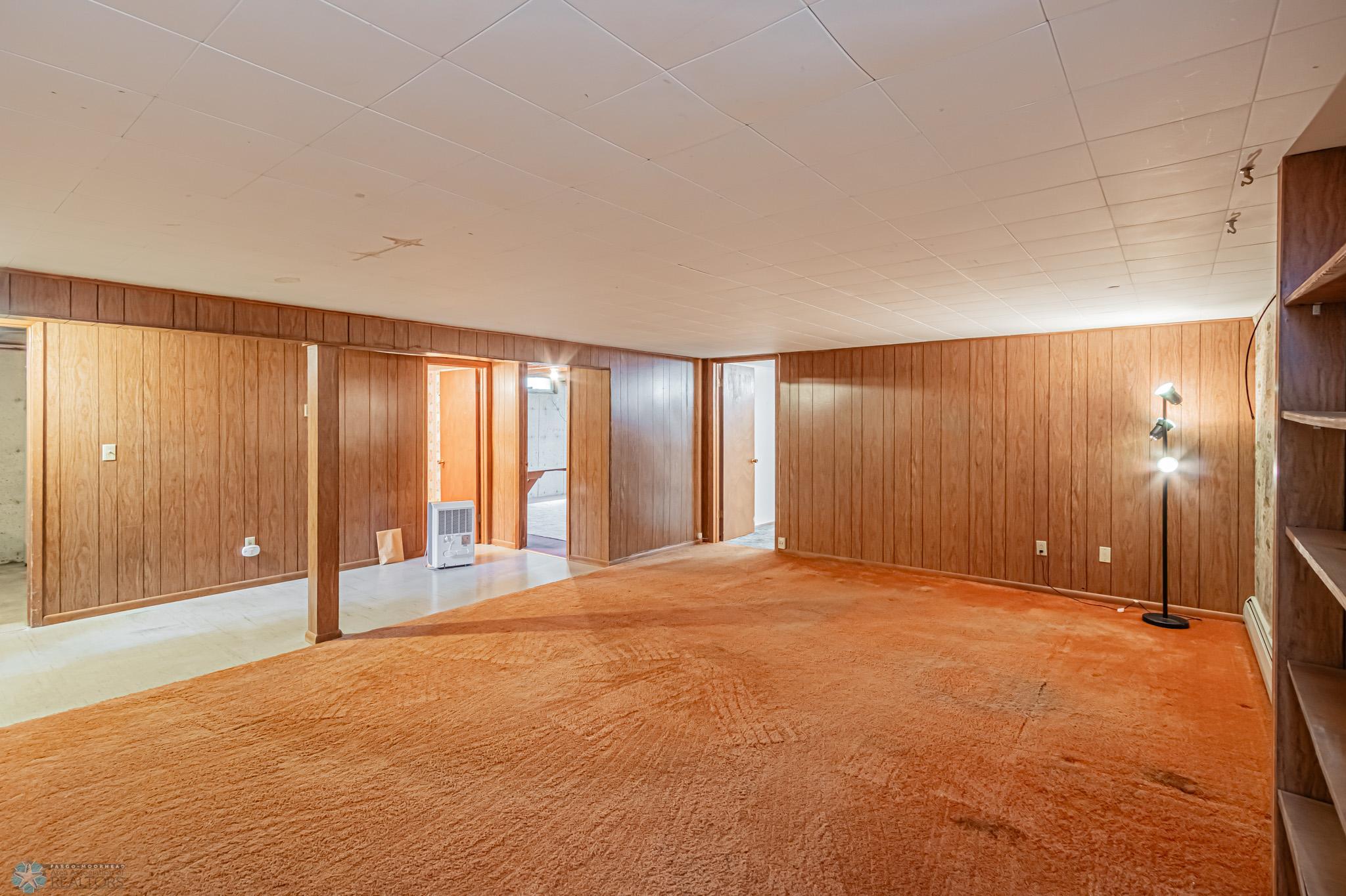 Basement Living