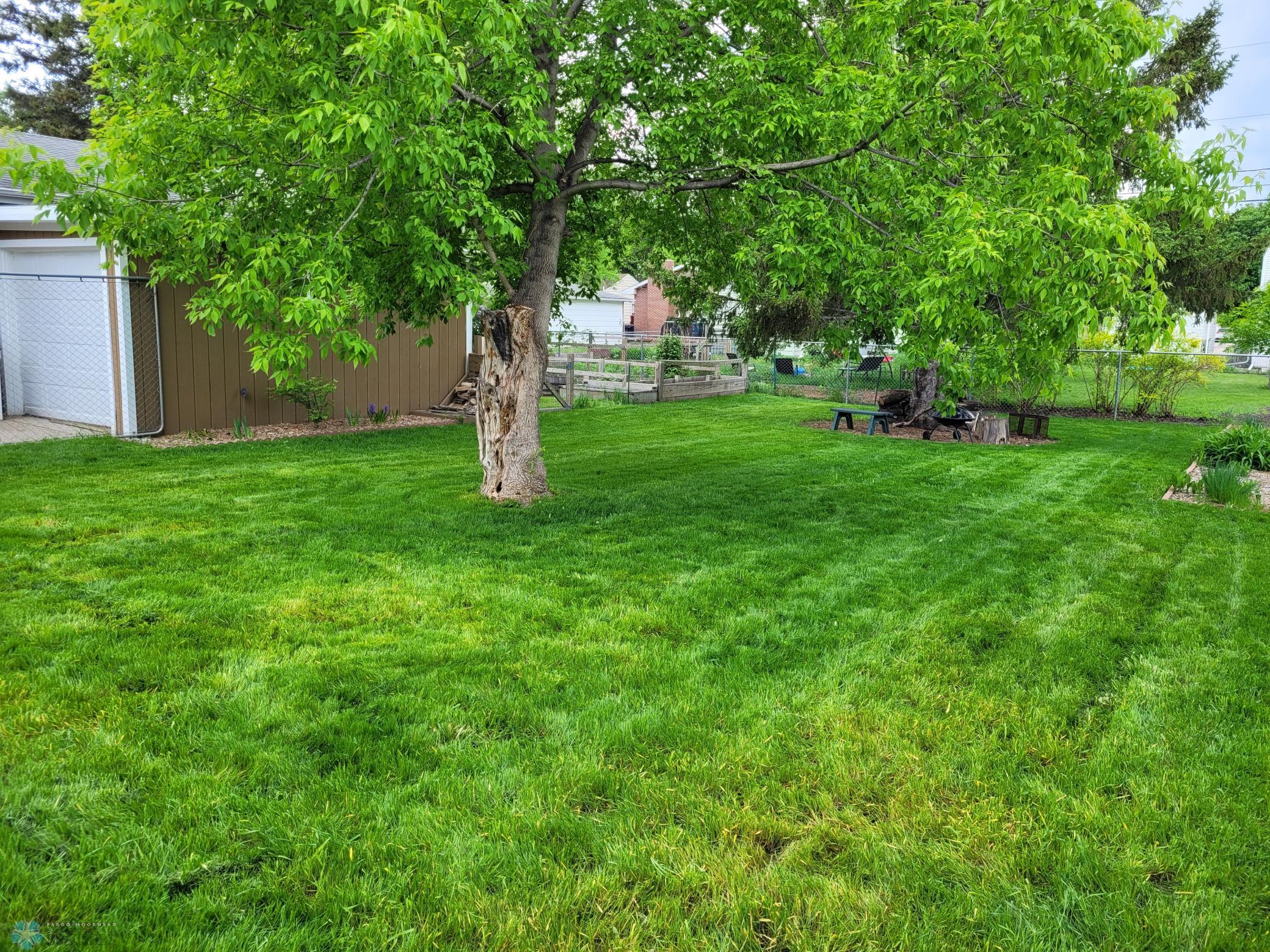 Beautiful yard
