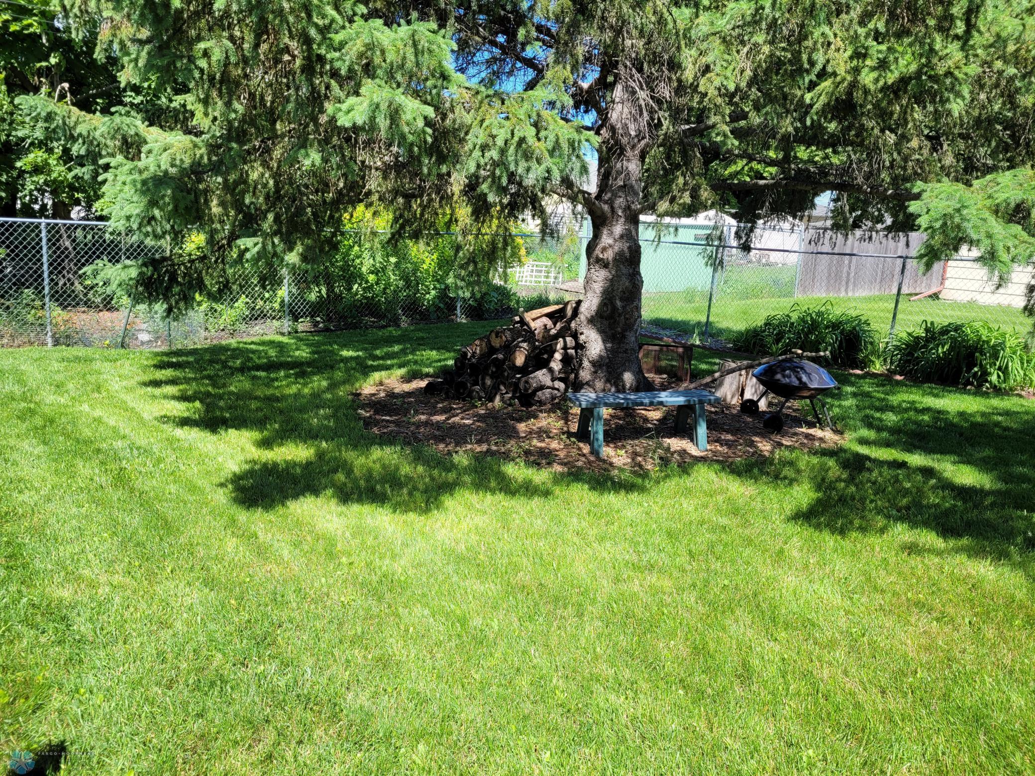 20240619_114437.jpg