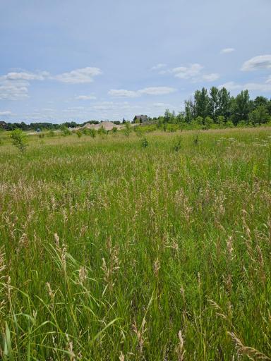 Lot 4 Country Estates Court NW, Alexandria, MN 56308