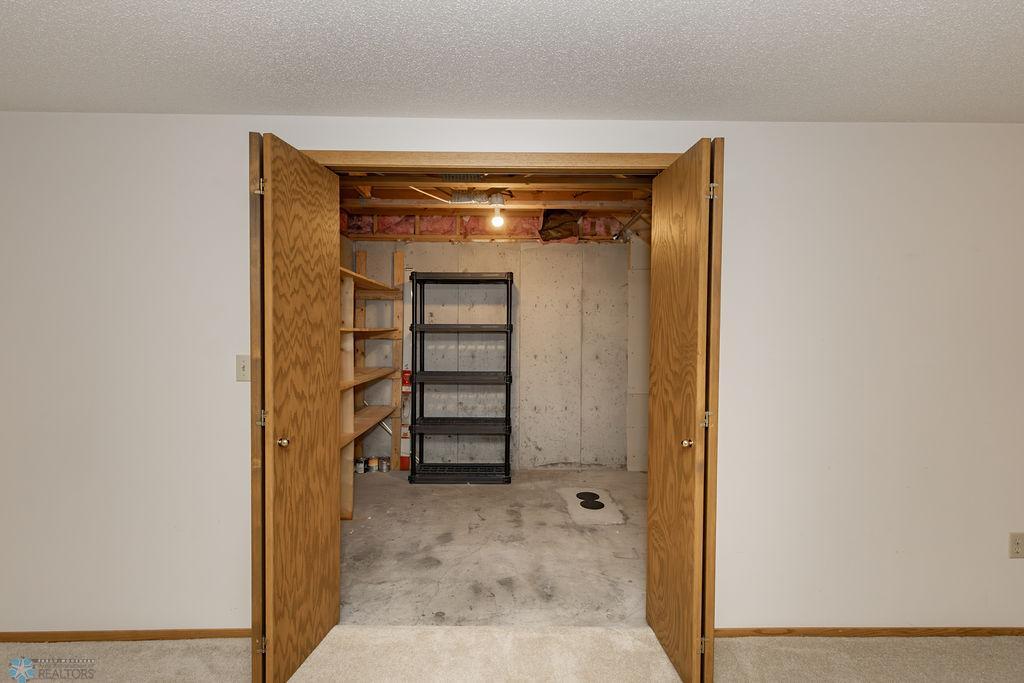 Large storage area under stairs