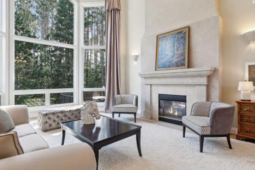 14 Lake Bay, North Oaks, MN 55127