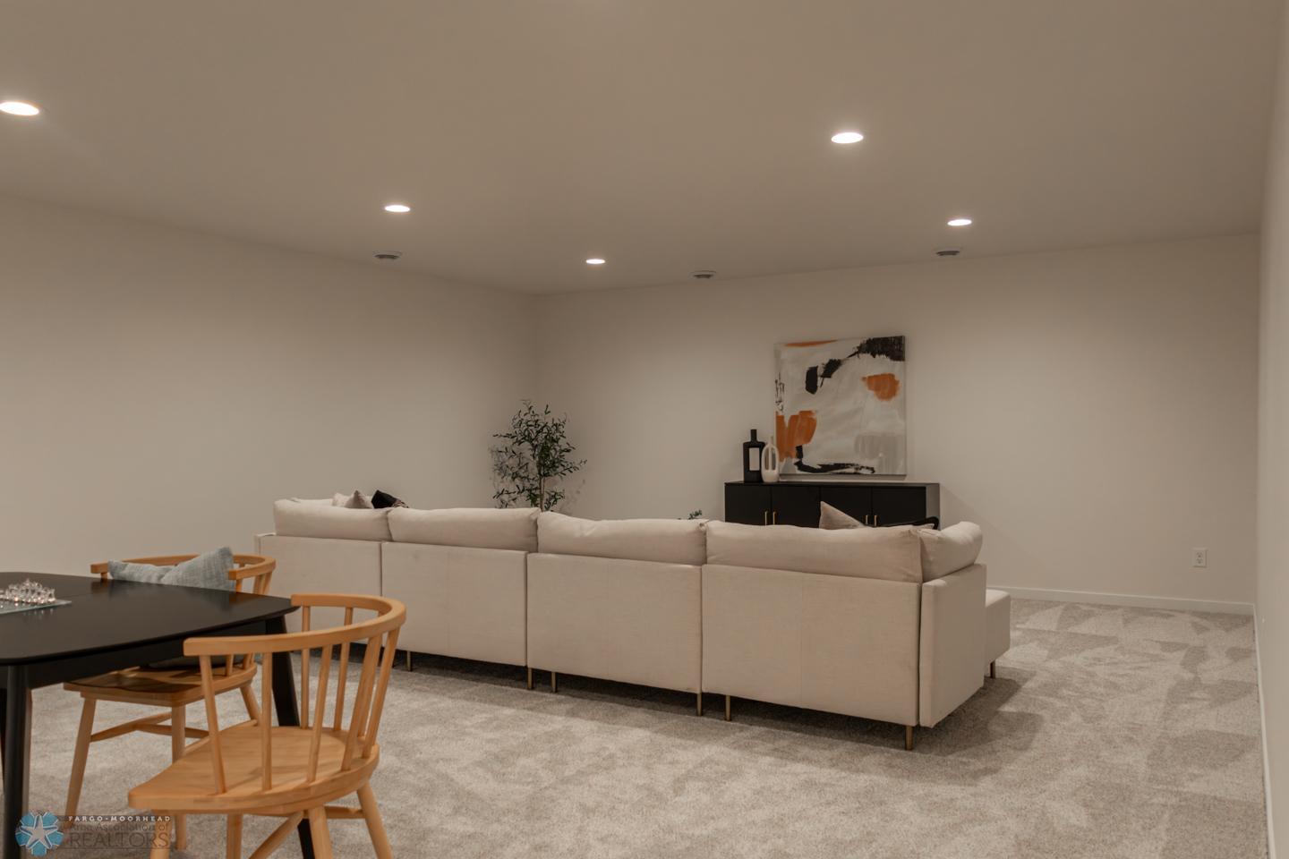 Basement Living Room