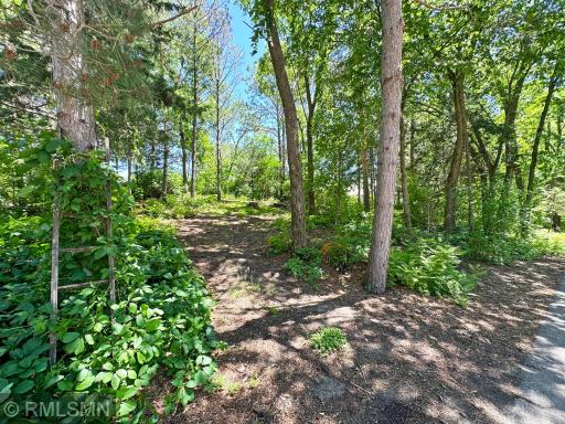 15901 80th Street NW, South Haven, MN 55382