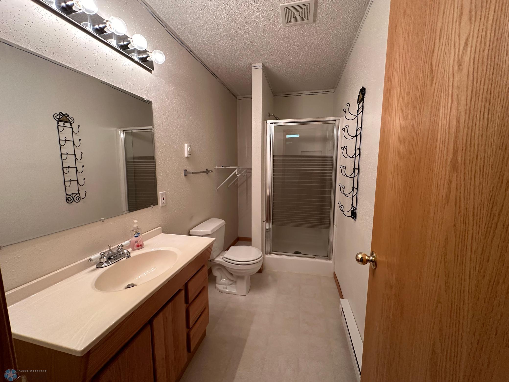 Lower Level bath