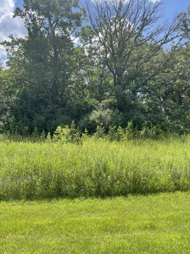 6580 Park Trail Road, Hamel, MN 55340