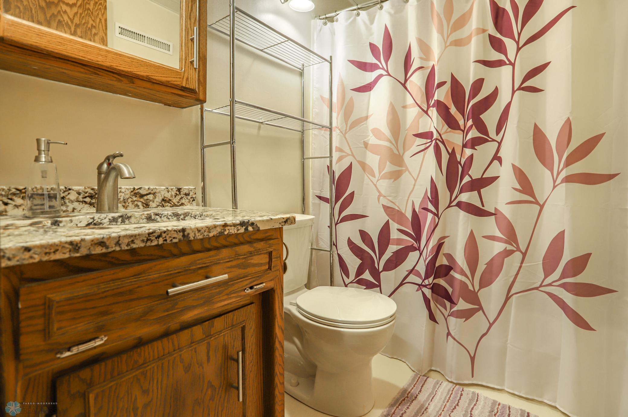 Basement full Bathroom