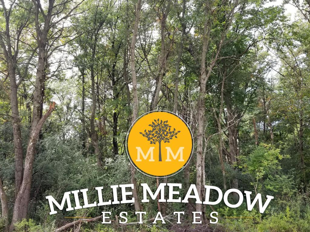 Property photo for 4009 Millie Meadow Drive SW, Rochester, MN 55902