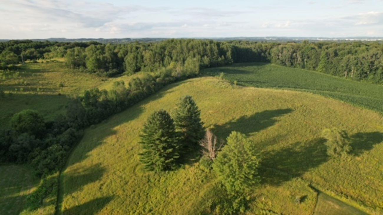 Drone 7jpg.jpg