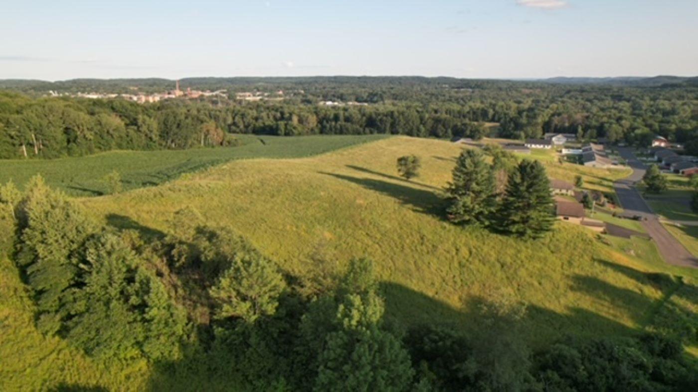 Drone 6jpg.jpg