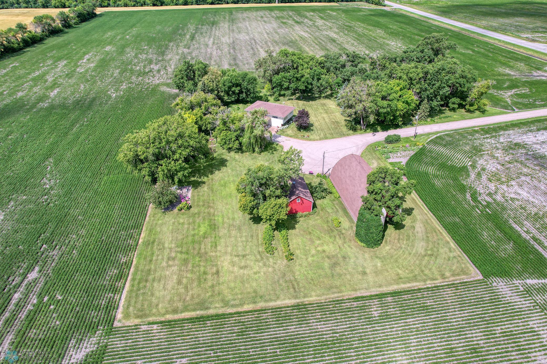 Drone1_6.jpg