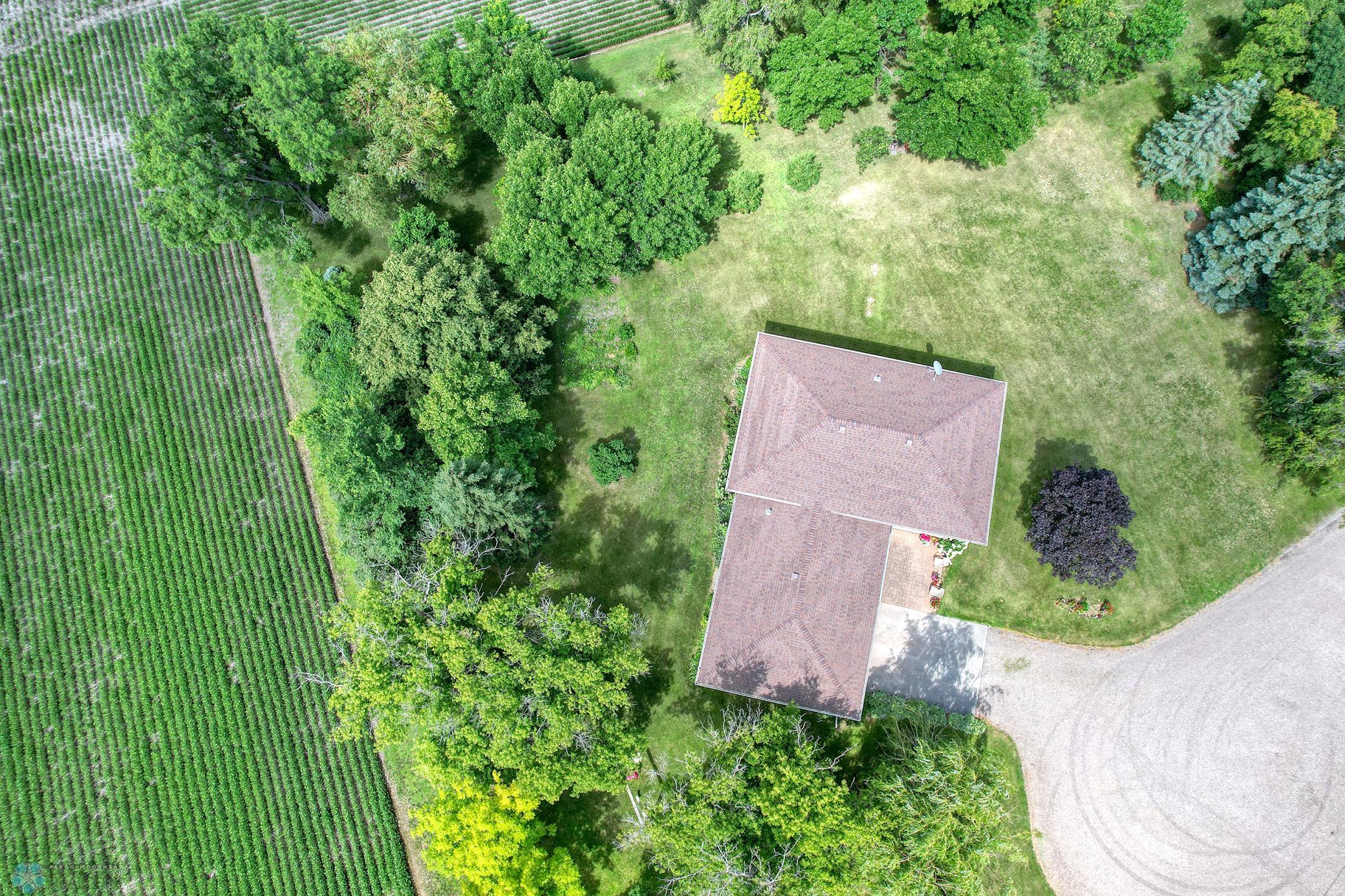 Drone1_4.jpg