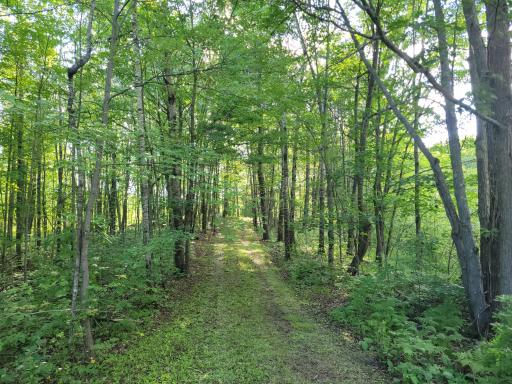 53065 Sjodahl Road, Sandstone, MN 55072