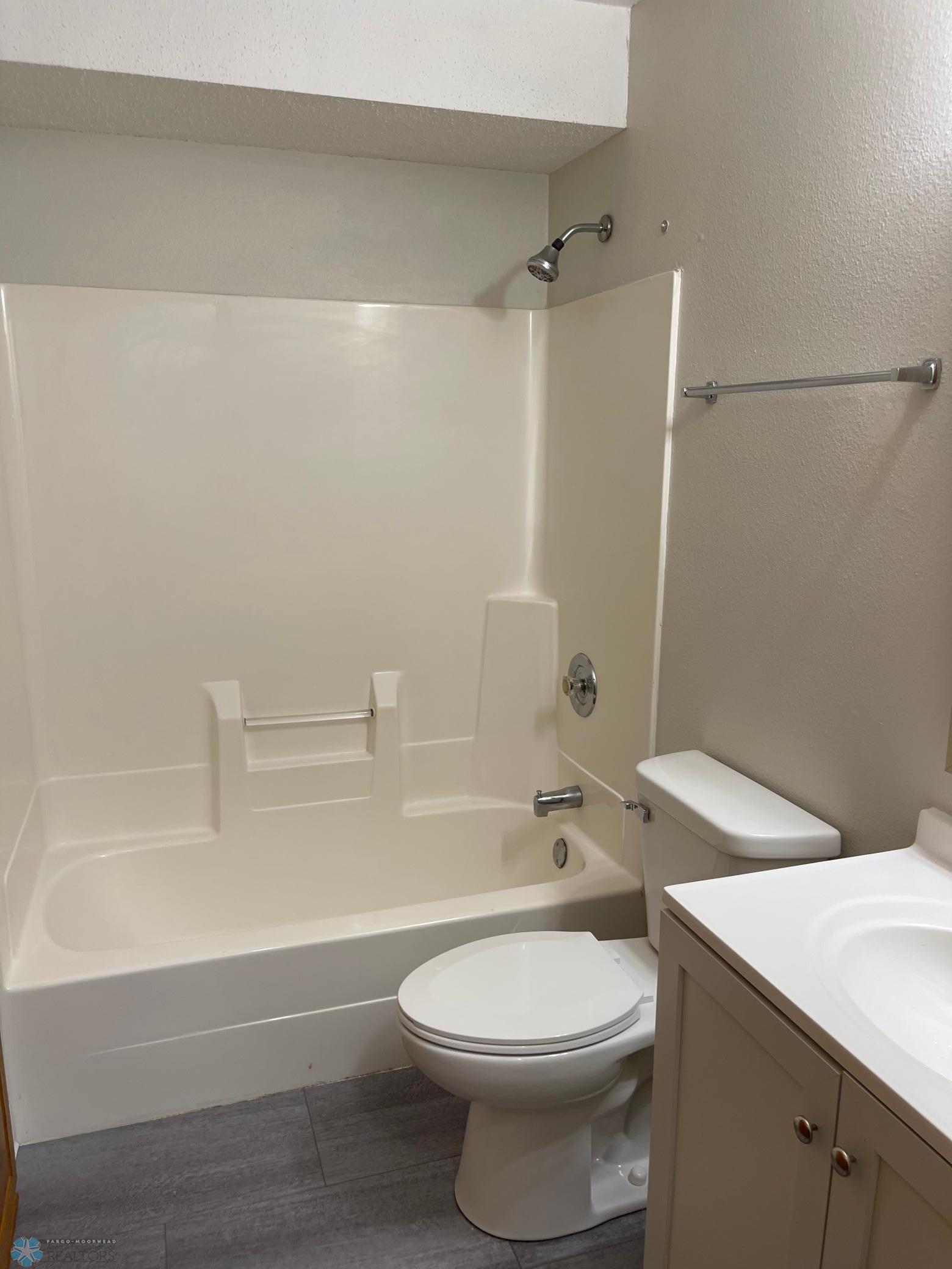 Lower Level Bathroom