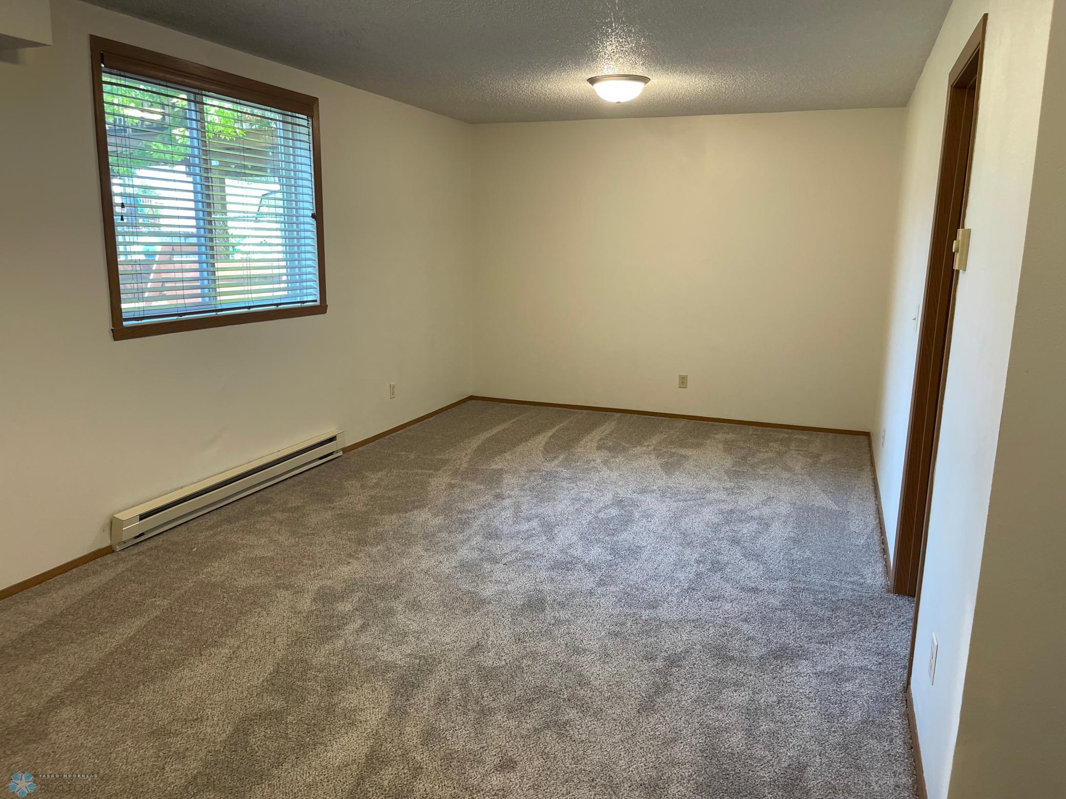 Lower Level Family Room