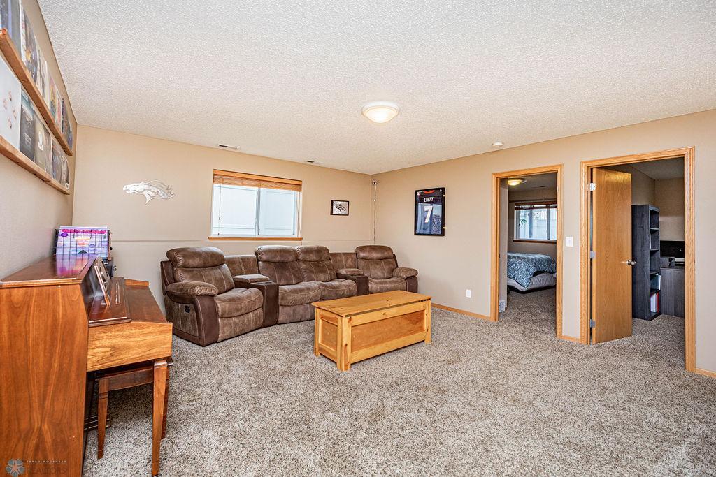 Lower level Family Room