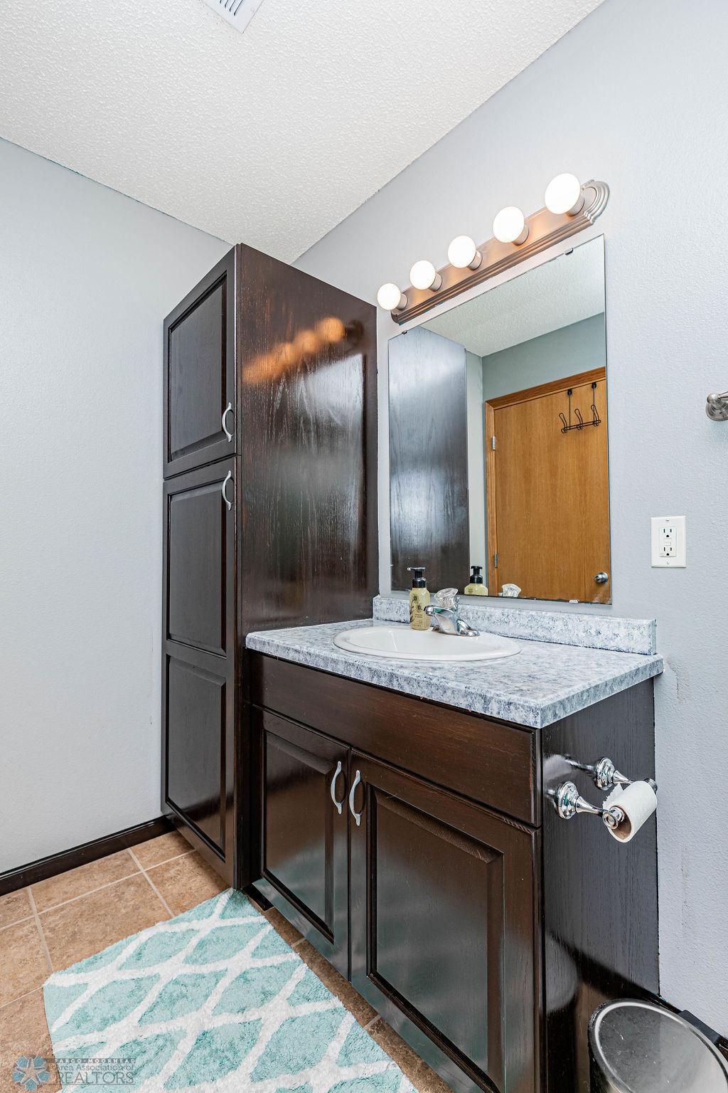 Lower level Bathroom