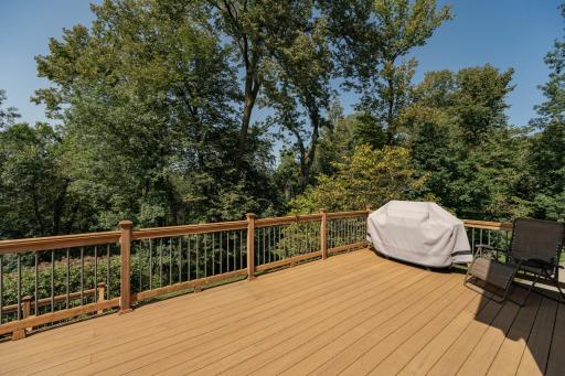 1120 Chippewa Drive NW, Rochester, MN 55901